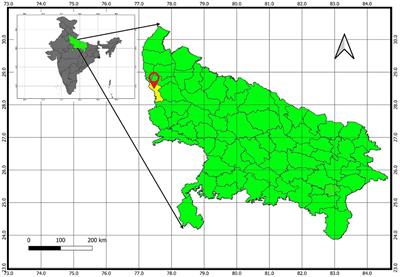 Empirical observation of natural farming inputs on nitrogen uptake, soil health, and crop yield of rice-wheat cropping system in the organically managed Inceptisol of Trans Gangetic plain